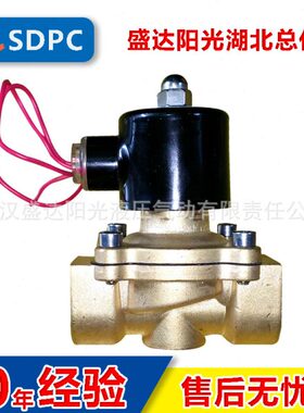 SDPC盛达阳光2W160-15电磁水阀2W200-20常闭控制220V24V