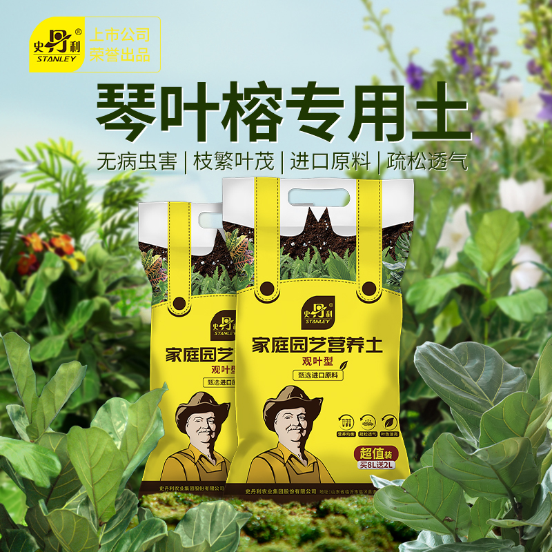 史丹利琴叶榕专用营养土肥料盆栽家用怎么养栽种绿植泥土种植土壤