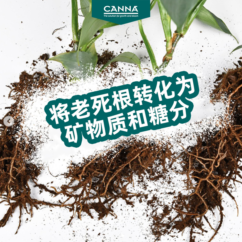 荷兰CANNAZYM酶分解死根植物营养液肥绿植叶菜瓜果花树通用型抗病