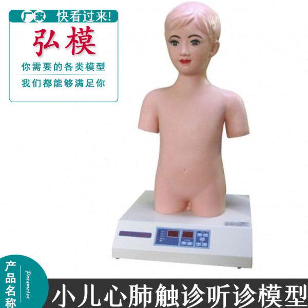 弘模全自动小儿心肺触诊听诊模拟人单机教学训练体格检查模型Z990