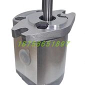 P102 P127 P104 P106 齿轮泵P101 P109 P105 P107 P135RP01GT油泵