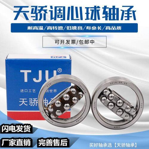 瑞典进口轴承 2206 2207 2208 ETN9 -2RS1/C3调心球