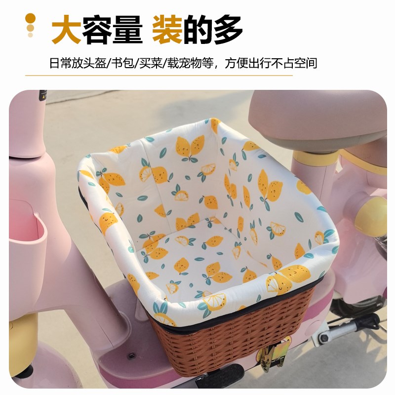 宠物筐电动车车筐大号狗狗猫猫遛狗电瓶车Q摩托车电车载狗车篮