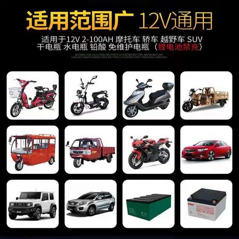 鑫东诚智能1e2V8-30AH单个电瓶充电器汽车摩托车电瓶充电器12V2A2