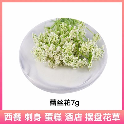 新鲜蕾丝花雪珠花白色小花酒店西餐日料摆盘冷菜蛋糕点缀装饰花草