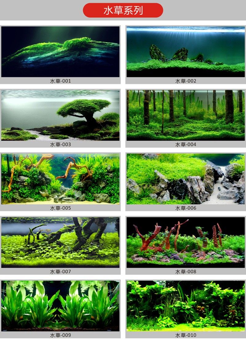 鱼缸背景纸画树根岩石水草5d立体高清图鱼缸背景图水族箱壁画贴纸