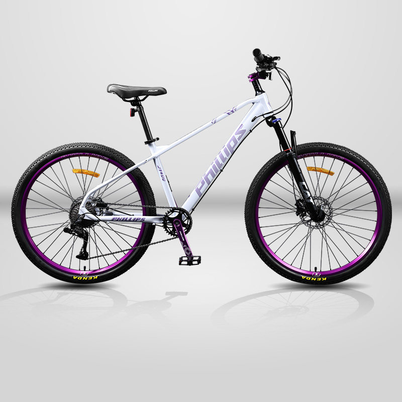 菲利普自行车山地车男旗舰店变速越野青少年学生油碟刹26寸单车