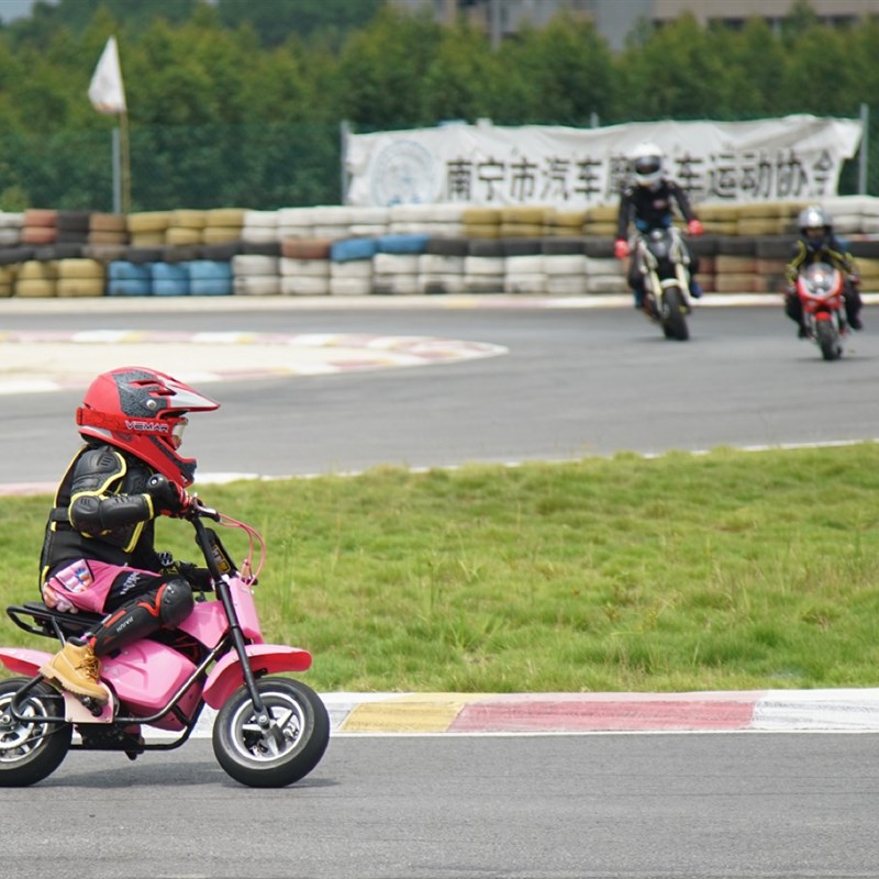 璐歌迷你哈雷电动车儿童成人娱乐玩玩小摩托车电瓶车童车