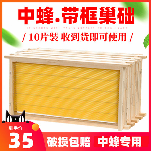 中蜂巢框巢础全套杉木成品带框巢基蜂箱专用蜂具养蜂工具蜜蜂巢脾