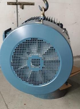 厂家直销三相异步电动机马达交流电机315SYE3110W一4P全铜