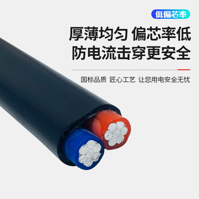 国标户外铝芯电线电缆线铝线2芯2.5 4 6 10 16  25平方家用架空线