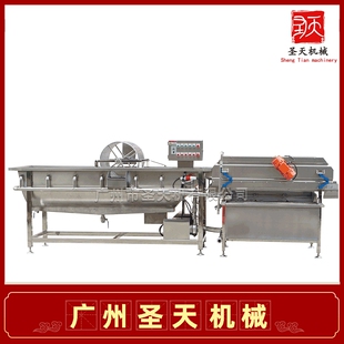 豪华型涡流洗菜机 蔬叶菜苹果多功能清洗机 预制菜净菜加工生产线