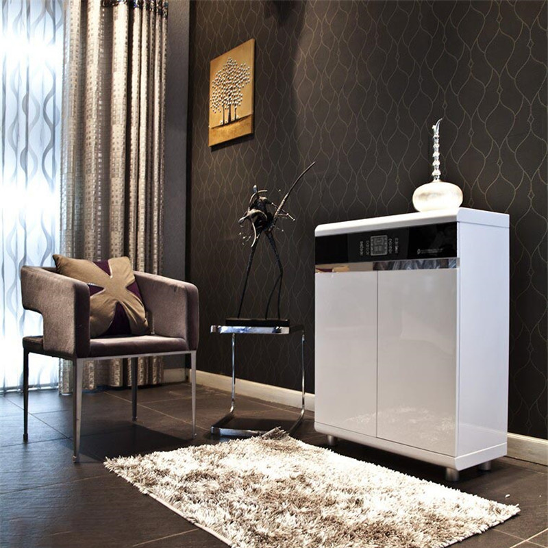 智能电子鞋柜玄关柜门厅柜消毒杀菌除臭烘干除湿擦鞋机烤漆入户柜