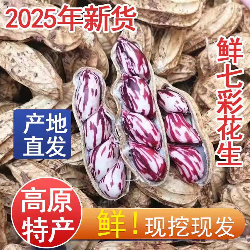 新货云南七彩花生带壳生熟七彩野地花生米黑花生种植特级普洱特产