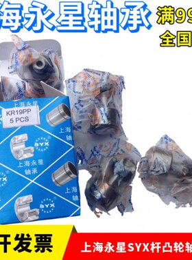 上海永星SYX凸轮轴承KR12 13 16 19 22 26 30 32 35 40 47 52PP X