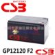 渣浆泵 电子称 救生艇启动电 12V12AH CSB蓄电池GP12120F2