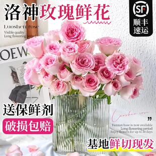 洛神玫瑰花鲜花云南基地直发鲜切花卉家用水培插花束同城速递好养