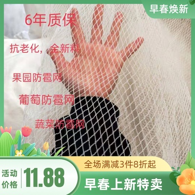 农用果园防鸟网葡萄樱桃鱼虾蟹池塘稻谷车棚防雹网尼龙网软网包邮