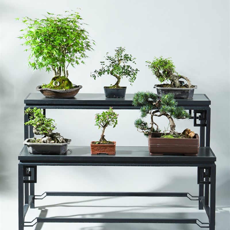 阳台花架几架新款移动带轮花架子客厅落地式置物T架铝材铝材花盆