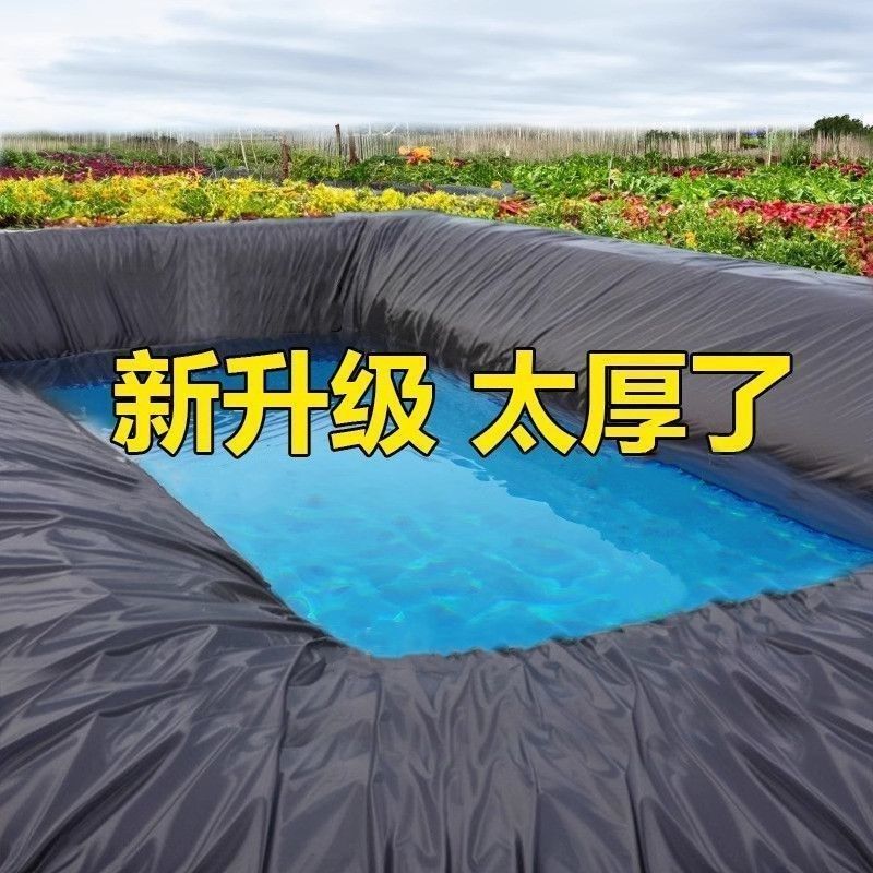 特价HDpe防渗膜土工膜加厚沼气池膜垃圾填埋防漏蓄水池鱼池鱼塘膜