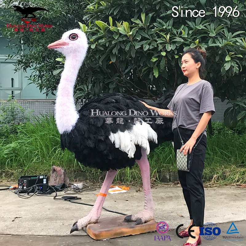 仿真动物模型工厂 电动粘毛鸵鸟 1:1还原 动物园商场景区引流摆件