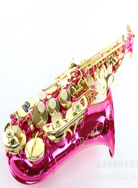 麦格维特乐器MSS-310N降B调弯管高音萨克斯风乐器表面粉红色