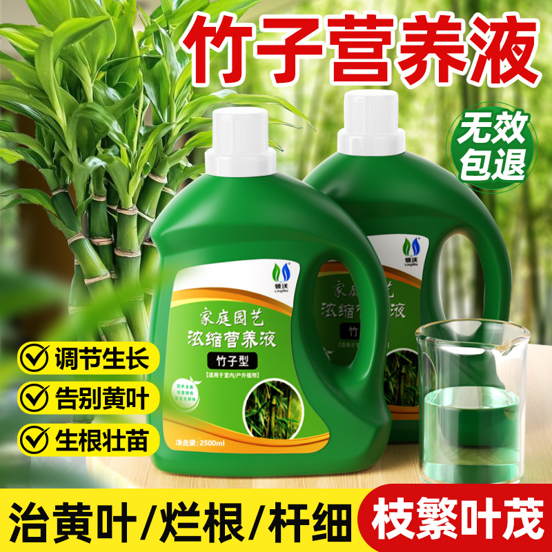 竹子专用型营养液家用室内水培植物花卉绿植治黄叶通用型液体肥
