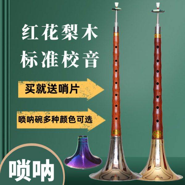 唢呐乐器全套高档红花梨木dc降B调红白喜事初学大中小号燕京喇叭,乐器/吉他/钢琴/配件,唢呐,淘宝优惠券,粉丝福利购,淘宝优惠卷