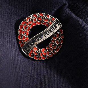 深红滴油罂粟花环胸针英国纪念胸花Lest Forget小众饰品