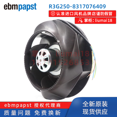 R3G250-8317076409德国ebm风扇