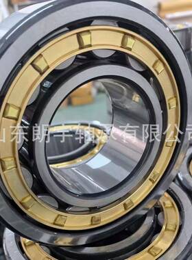 圆柱滚子轴承RN205RN206RN208RN210RN305RN306RN307RN308