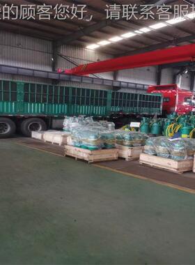 BQS 300-1水20/2-200B/N潜水泵立式 整机潜水 Q452S防爆潜泵