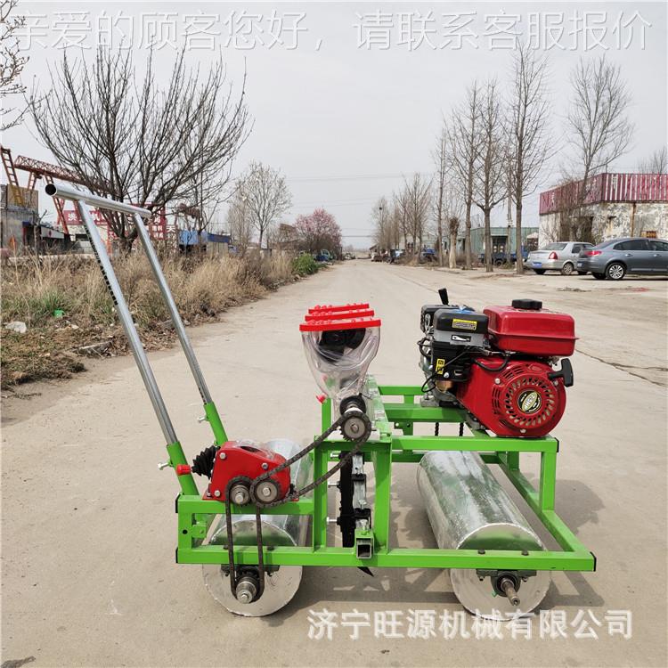 自机走式蔬播菜播种 电动蔬INL菜精播 手推式机种机