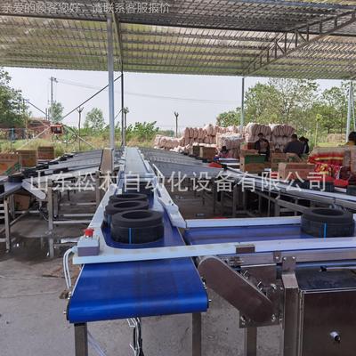 山自动化西瓜哈密东分SM-FXA06瓜等水果重量选机果称瓜重分级线