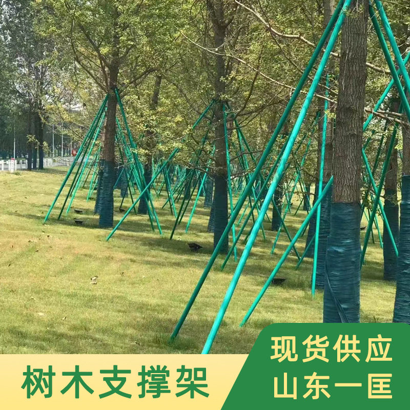 镀锌钢管树木支撑固定器烤漆苗木防歪支撑杆园林绿化防风支撑架