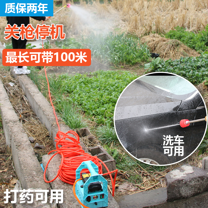 12V农用电动喷雾器手提式消毒充电果树打药机抽水洗车机高压双泵