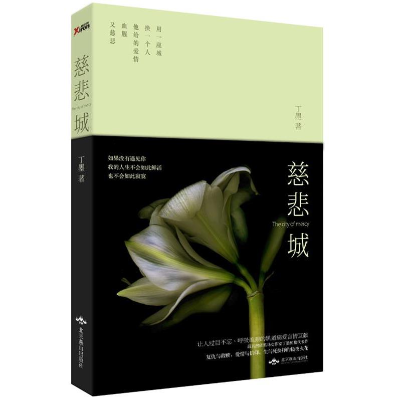 【正版书籍】 慈悲城 丁墨 北京燕山出版社