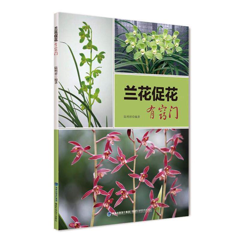 【正版书籍】 兰花促花有窍门 陆明祥 著 福建科学技术出版社
