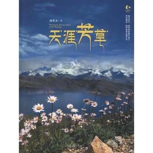 【正版书籍】 天涯芳草 刘华杰 著 北京大学出版社