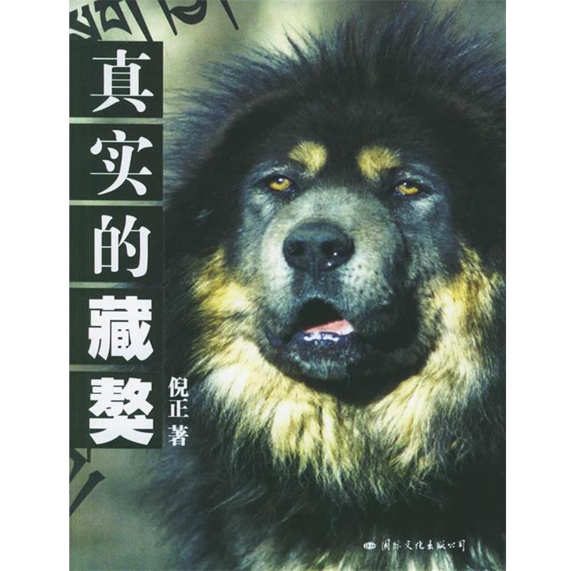 【正版书籍】 真实的藏獒 倪正 著 国际文化出版公司