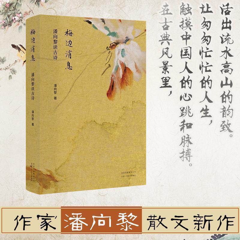 【正版书籍】 梅边消息:潘向黎读古诗 潘向黎 著 北京十月文艺出版社