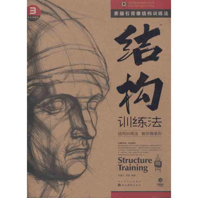 【正版书籍】 造型基础训练方法丛书 素描石膏像结构训练法 马丽 等 湖北美术出版社
