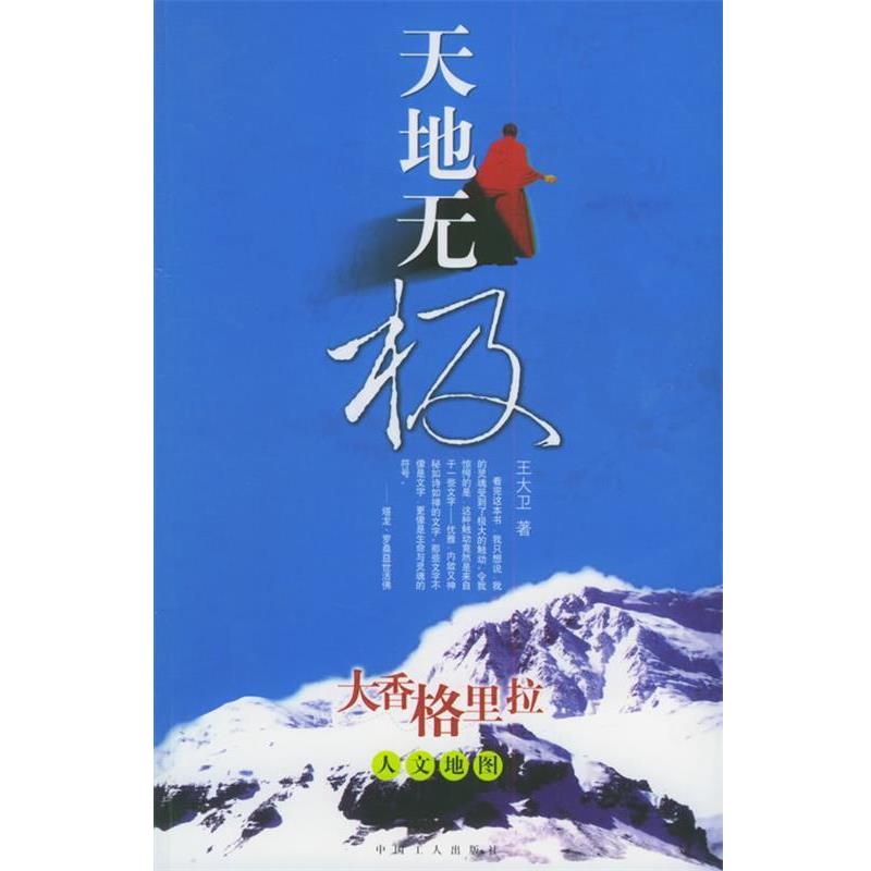 【正版书籍】 天地无极 王大卫 工人出版社