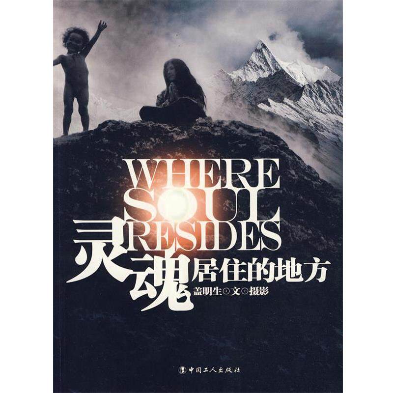 【正版书籍】 灵魂居住的地方 盖明生 著 工人出版社