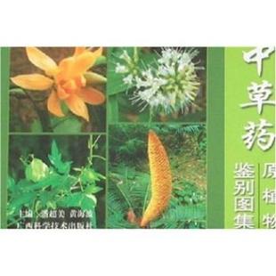 中草药原植物鉴别图集 潘超美 黄海波 广西科学技术出版 书籍 著 社 正版
