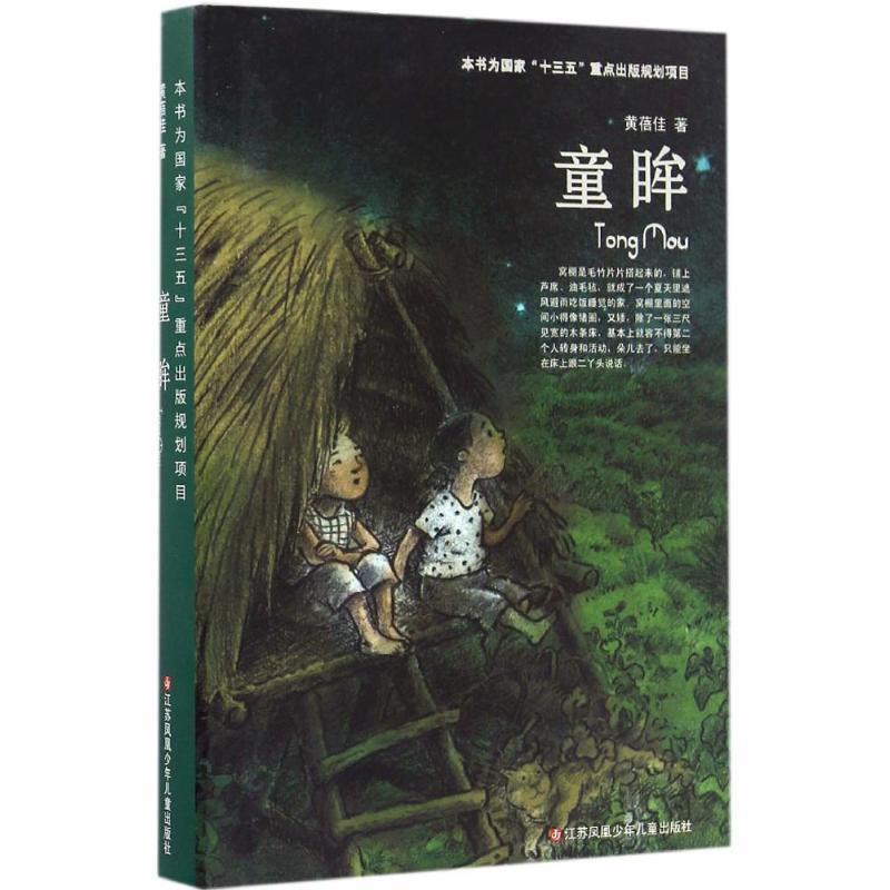 【正版书籍】 童眸 黄蓓佳 著 江苏凤凰少年儿童出版社