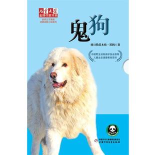 儿童文学作家书系 自然之子黑鹤经典 中国少年儿童出版 正版 社 格日勒其木格·黑鹤 书籍 鬼狗 动物小说系列