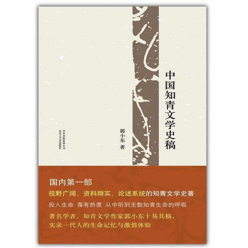 【正版书籍】 中国知青文学史稿 郭小东著 北京十月文艺出版社