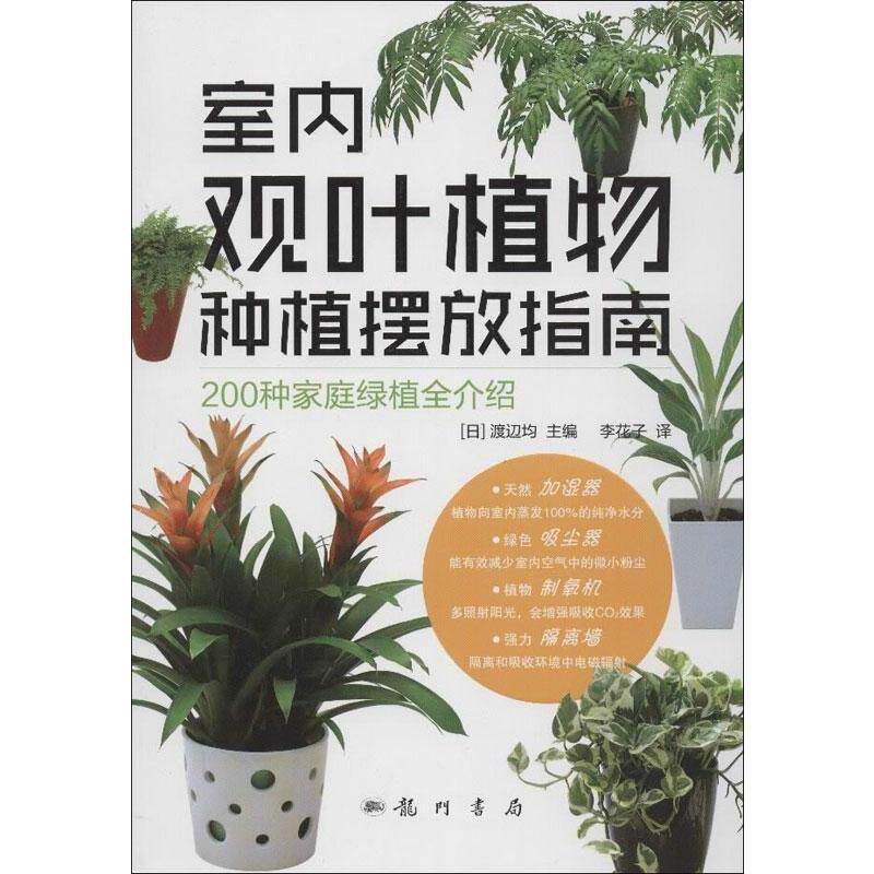 【正版书籍】 室内观叶植物种植摆放指南 (日) 渡 x均主编 科学出版社