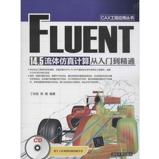 【正版书籍】 FLUENT14.5流体仿真计算从入门到精通 丁欣硕,焦楠 著 清华大学出版社